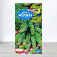 Насіння огірка бджолозапильного Полан F1, Plantico, Польща, 5г