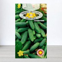 Насіння огірка бджолозапильного Рацібор F1, Roltico, Польща, 5г