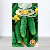 Насіння огірка бджолозапильного Регіна F1, Roltico, Польща, 5г