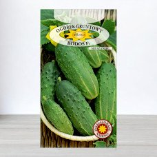 Насіння огірка бджолозапильного Родос F1, Roltico, Польща, 5г