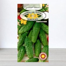 Насіння огірка бджолозапильного Сопліка F1, Roltico, Польща, 5г