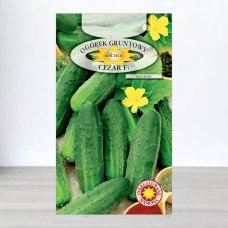 Насіння огірка бджолозапильного Цезар F1, Roltico, Польща, 5г