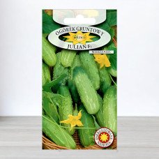 Насіння огірка бджолозапильного Юліан F1, Roltico, Польща, 5г
