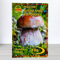 Гриб Міцелій Білий Боровик, 10г