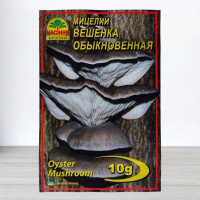 Гриб Міцелій Глива Звичайна, 10г