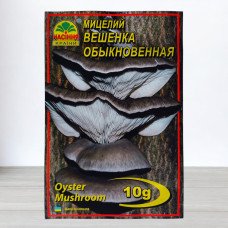 Гриб Міцелій Глива Звичайна, 10г