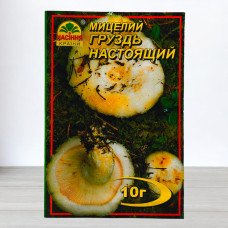 Гриб Міцелій Груздь Справжній, 10г