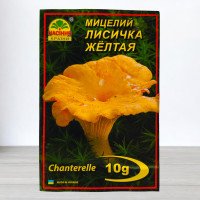 Гриб Міцелій Лисичка Жовта, 10г