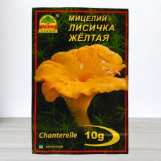 Гриб Міцелій Лисичка Жовта, 10г