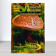 Гриб Міцелій Моховик Тріщинуватий, 10г