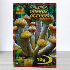 Гриб Міцелій Опеньок Осінній, 10г