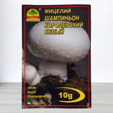 Гриб Міцелій Печериця Королівська Біла, 10г