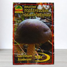 Гриб Міцелій Підберезник Звичайний, 10г