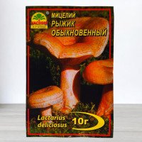 Гриб Міцелій Рижик Звичайний, 10г