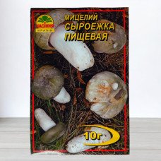 Гриб Міцелій Сироїжка Харчова, 10г