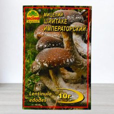 Гриб Міцелій Шиітаке Імператорський, 10г