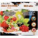 Інсекто-Фунгіцид Агро-Доктор для Ягід 2г + Стимулятор зростання 10г