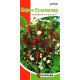 Насіння суниці Барон Сулемахер, Яскрава, 0,1г