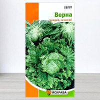 Насіння салату Верна Головчастий, Яскрава, 1г