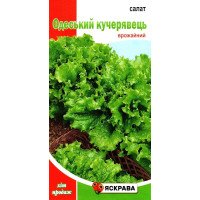 Насіння салату Одеський Кучерявець, Яскрава, 1г
