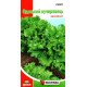 Насіння салату Одеський Кучерявець, Яскрава, 2г