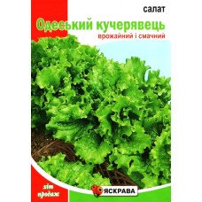 Насіння салату Одеський Кучерявець, Яскрава, 10г