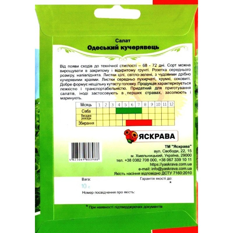 Насіння салату Одеський Кучерявець, Яскрава, 10г