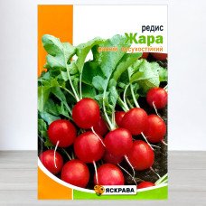 Насіння редису Жара, Яскрава, 10г