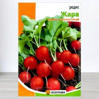 Насіння редису Жара, Яскрава, 20г