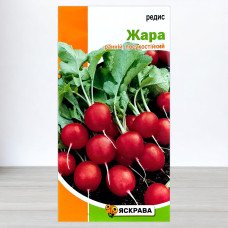 Насіння редису Жара, Яскрава, 3г