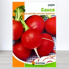 Насіння редису Сакса, Яскрава, 10г