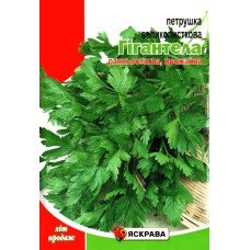 Насіння петрушки великолисткової Гігантела, Яскрава, 20г