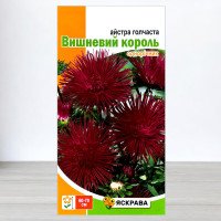 Насіння айстри голчастої Вишневий Король Бордова, Яскрава, 0,3г