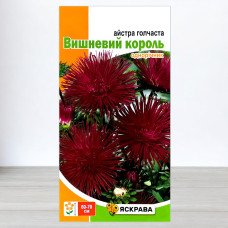Насіння айстри голчастої Вишневий Король Бордова, Яскрава, 0,3г