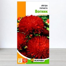 Насіння айстри голчастої Вогник Червоний, Яскрава, 0,3г