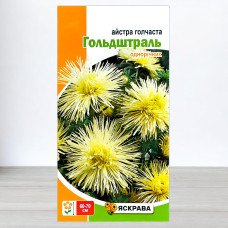 Насіння айстри голчастої Гольдштраль Лимонна, Яскрава, 0,3г