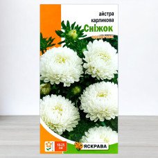 Насіння айстри карликової Сніжок Білий, Яскрава, 0,3г