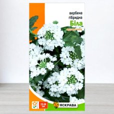Насіння вербени гібридної Білої, Яскрава, 0,1г
