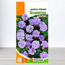 Насіння вербени гібридної Блакитної, Яскрава, 0,1г