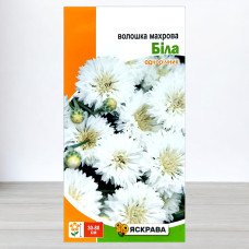 Насіння волошки Махрова Біла, Яскрава, 0,5г