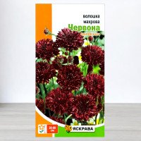 Насіння волошки Махрова Червона, Яскрава, 0,5г