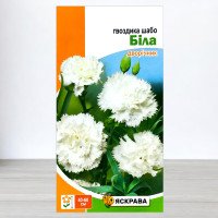 Насіння гвоздики Шабо Біла, Яскрава, 0,1г