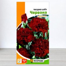 Насіння гвоздики Шабо Червоної, Яскрава, 0,1г