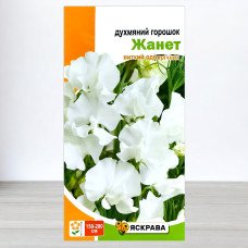 Насіння духмяного горошку Жанет Білий, Яскрава, 1г