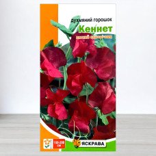 Насіння духмяного горошку Кеннет Червоний, Яскрава, 1г