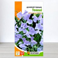Насіння духмяного горошку Томмі Блакитний, Яскрава, 1г