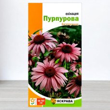Насіння ехінацеї Пурпурової, Яскрава, 0,5г