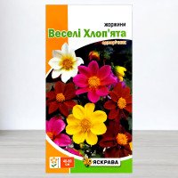 Насіння жоржин Веселi Хлоп'ята Суміш, Яскрава, 0,3г