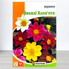 Насіння жоржин Веселі Хлоп'ята Суміш, Яскрава, 2г