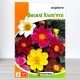 Насіння жоржин Веселі Хлоп'ята Суміш, Яскрава, 2г
